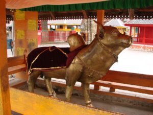 Read more about the article Lord Nandi bull Temple