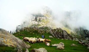 Read more about the article Triund in Dharamshala